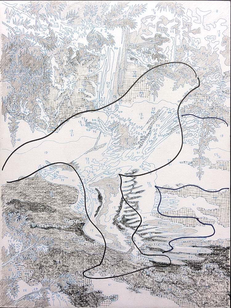 PBN Drib- pen and pencil drawing by Kelly Irving